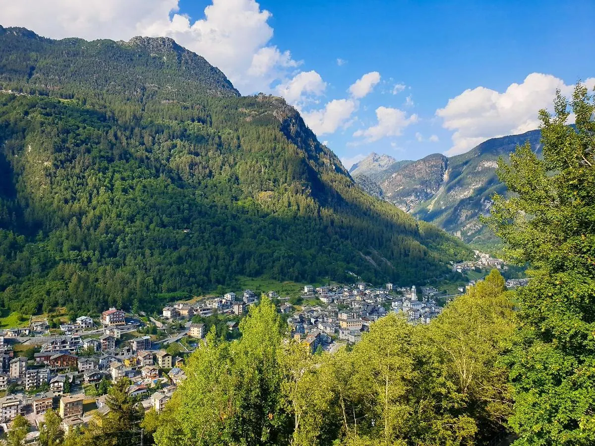 Hotel Fior Di Monte Caspoggio 3*,